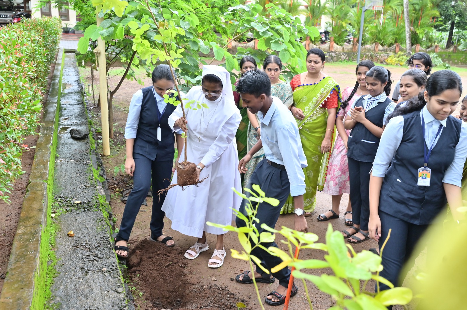 World environment day - 5th June